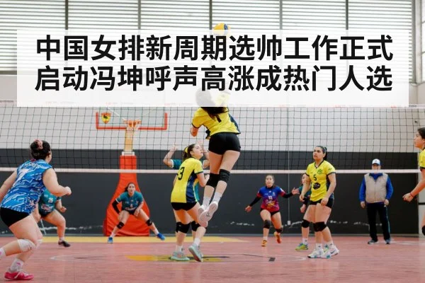 中国女排新周期选帅工作正式启动冯坤呼声高涨成热门人选